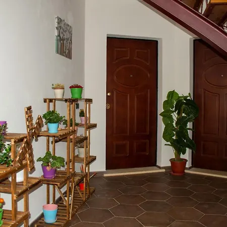 Shark House Apartment Tropea