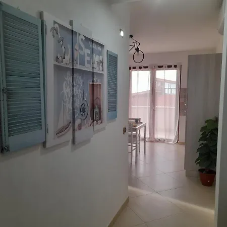 Shark House Apartment